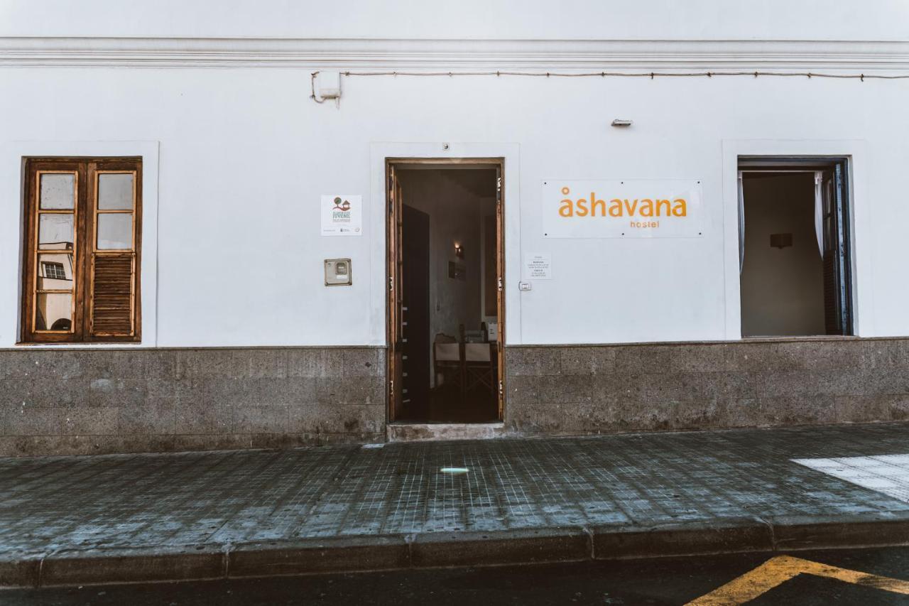 Ashavana Nest Hostel El Médano Exterior photo